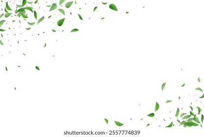 Swamp Leaf Wind Vector White Background Brochure. Swirl Foliage Concept. Grassy Leaves Fly Border. Greens Forest Wallpaper.