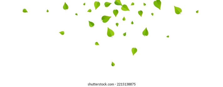 Swamp Leaves Abstract Vector Panoramic White Background Brochure. Motion Foliage Pattern. Mint Leaf Fresh Branch. Greens Ecology Design.
