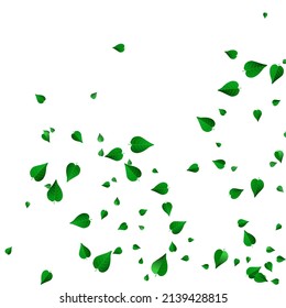 Saltos del pantano Abstract Vector Patrón de fondo blanco. Folleto sobre los Verdes de Movimiento. Borde volante de flotación de menta. Rama de la mosca de la hoja.