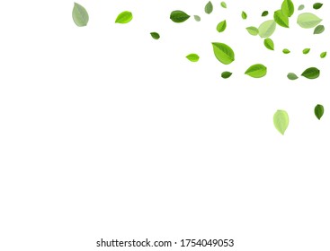 Swamp Leaves Blur Vector Background. Swirl Foliage Border. Green Greens Wind Wallpaper. Leaf Tree Design.