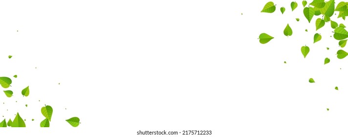 Swamp Leaves Blur Vector Panoramic White Background Illustration. Realistic Foliage Banner. Forest Leaf Swirl Design. Greens Nature Pattern.