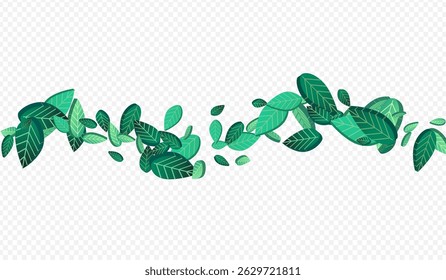 Swamp Leaves Blur Vector Transparent Background Banner. Flying Greens Illustration. Forest Foliage Abstract Branch. Leaf Wind Concept.