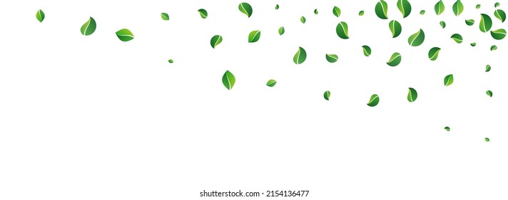 Swamp Leaves Ecology Vector Panoramic White Background. Flying Leaf Border. Forest Foliage Abstract Banner. Greens Nature Template.