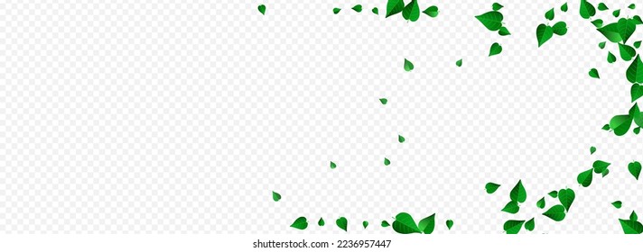 Swamp Leaves Ecology Vector Panoramic Transparent Background Branch. Swirl Leaf Plant. Lime Foliage Motion Pattern. Greens Spring Banner.