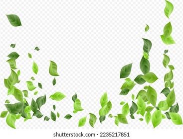 Swamp Leaves Ecology Vector Transparent Background Pattern. Wind Leaf Design. Green Foliage Fresh Concept. Greenery Herbal Wallpaper.