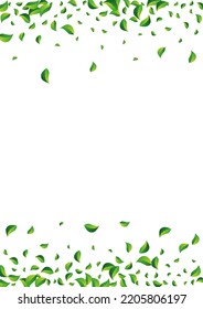 Swamp Leaves Ecology Vector White Background. Herbal Foliage Backdrop. Forest Greens Forest Design. Leaf Blur Poster.
