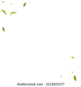 Swamp Leaves Ecology Vector White Background Branch. Realistic Leaf Banner. Grassy Greens Swirl Concept. Foliage Tea Wallpaper.
