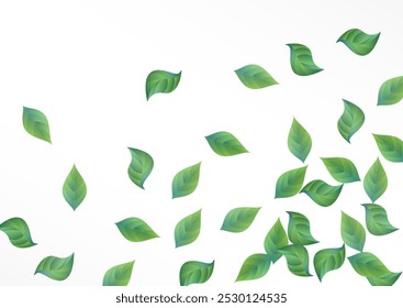 Plantilla de fondo blanco del Vector de la ecología de las hojas del pantano. Folleto de Árbol Verde. Fondo de pantalla herbario de hoja herbosa. Follaje Abstractas Concepto.