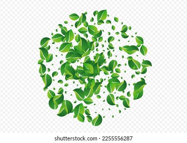 Swamp Leaves Falling Vector Transparent Background. Spring Foliage Illustration. Lime Leaf Fly Pattern. Greens Tree Wallpaper.