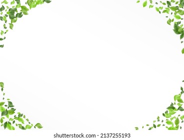 Swamp Leaves Falling Vector White Background Backdrop. Swirl Foliage Design. Mint Leaf Tea Template. Greenery Abstract Wallpaper.
