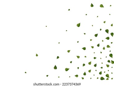 Swamp Leaves Falling Vector White Background Pattern. Fresh Greens Brochure. Olive Foliage Flying Backdrop. Leaf Ecology Poster.
