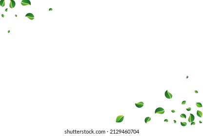 Swamp Leaves Fly Vector White Background. Tea Foliage Plant. Mint Greens Wind Brochure. Leaf Blur Banner.