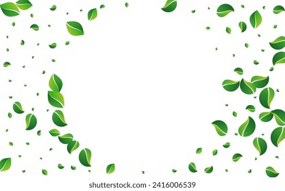 Swamp Leaves Fly Vector White Background. Blur Greens Brochure. Grassy Leaf Swirl Backdrop. Foliage Herbal Pattern.