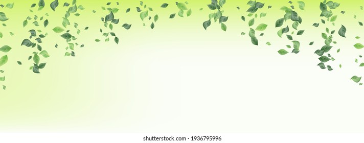 Swamp Leaves Flying Vector Green Background Poster. Blur Foliage Template. Lime Leaf Forest Border. Greenery Swirl Design.