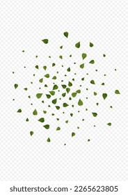 El pantano deja al vector volador fondo transparente. Ilustración de hojas orgánicas. Afiche de desenfoque del follaje verde. Plantilla de té verde.