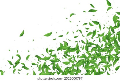 Sumpf hinterlässt fliegenden, weißen Hintergrund. Transparentes Blattkonzept. Windbanner Lime Greens. Blatt-Kräuterposter.