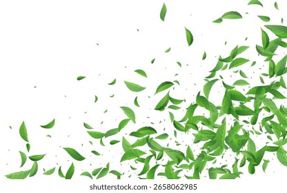 Sumpf hinterlässt fliegendes Vektor weißes Hintergrund Poster. Verzweigung Motion Foliage. Ökologische Pflanze für Grünblätter. Grüne fallender Hintergrund.