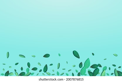 Swamp Leaves Forest Vector Blue Background Branch. Tree Greens Background. Forest Leaf Fly Border. Foliage Spring Design.