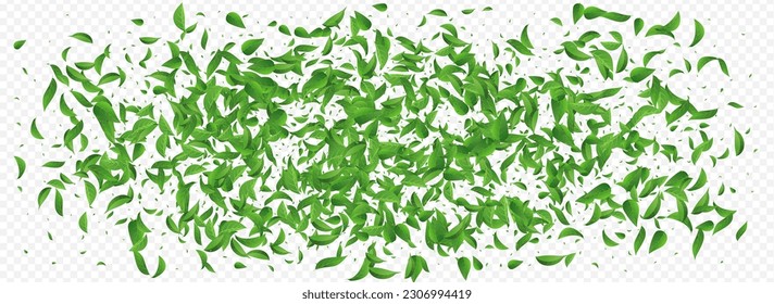 Swamp Leaves Forest Vector Panoramic Transparent Background Branch. Fly Foliage Pattern. Mint Leaf Ecology Brochure. Greens Flying Wallpaper.