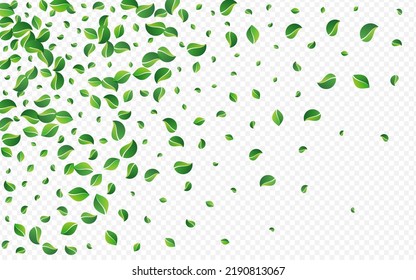 Swamp Leaves Forest Vector Transparent Background. Tree Leaf Template. Olive Greens Abstract Border. Foliage Blur Poster.