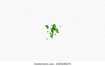 Swamp Leaves Forest Vector Transparent Background. Wind Foliage Template. Olive Greens Falling Concept. Leaf Blur Plant.