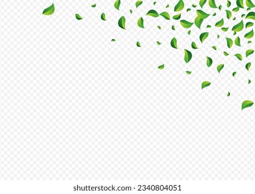 Swamp Leaves Fresh Vector Transparent Background. Spring Greens Illustration. Olive Leaf Blur Branch. Foliage Wind Border.