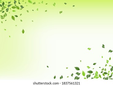 Swamp Leaves Motion Vector Green Background Template. Ecology Greenery Backdrop. Green Foliage Abstract Brochure. Leaf Fresh Pattern.