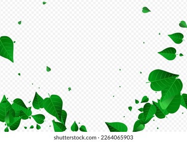 Swamp Leaves Motion Vector Transparent Background Border. Herbal Leaf Backdrop. Olive Greens Abstract Design. Foliage Organic Wallpaper.
