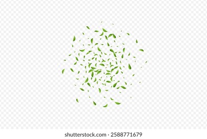 Swamp Leaves Motion Vector Transparent Background Poster. Flying Greens Pattern. Green Foliage Swirl Branch. Leaf Realistic Brochure.