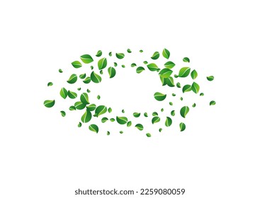 El pantano deja el vector de movimiento fondo blanco. Fondo de Foliage Eólico. Afiche realista sobre la hoja de bosque. Planta De Árboles Verdes.