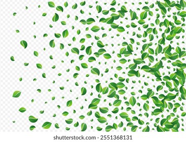 O Pântano Deixa O Vetor Da Natureza Um Fundo Transparente. Um Conceito Verdes Realista. Folheto do Vento da Folhagem Verde. Ilustração de Movimento de Folha.
