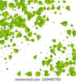 Swamp Leaves Nature Vector White Background Wallpaper. Spring Greens Concept. Olive Foliage Forest Template. Leaf Wind Banner.