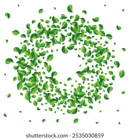 Swamp Leaves Organic Vector White Background. Motion Leaf Border. Green Foliage Spring Plant. Greens Herbal Pattern.