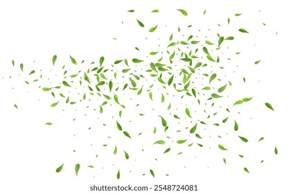 Swamp Leaves Organic Vector White Background Border. Fresh Greens Branch. Green Leaf Blur Concept. Foliage Falling Brochure.