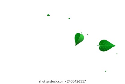 Swamp Leaves Realistic Vector White Background Plant. Flying Greens Banner. Lime Leaf Tree Brochure. Foliage Tea Pattern.