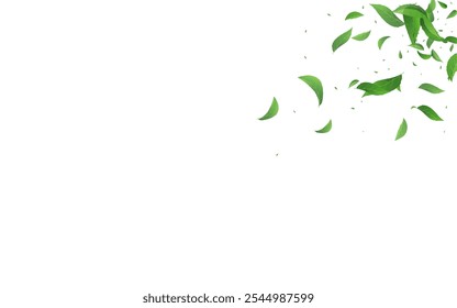 Swamp Leaves Realistic Vector White Background Pattern. Motion Foliage Concept. Mint Leaf Tree Backdrop. Greens Swirl Template.