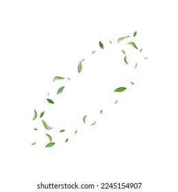 Swamp Leaves Swirl Vector White Background Pattern. Nature Leaf Wallpaper. Forest Greens Forest Poster. Foliage Realistic Border.