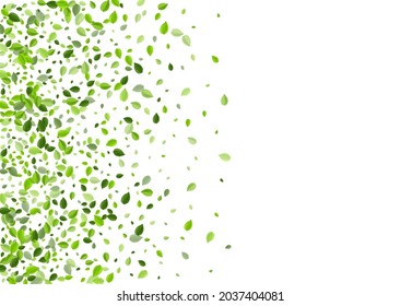 Swamp Leaves Tea Vector Border. Wind Greens Wallpaper. Forest Foliage Realistic Backdrop. Leaf Tree Concept.
