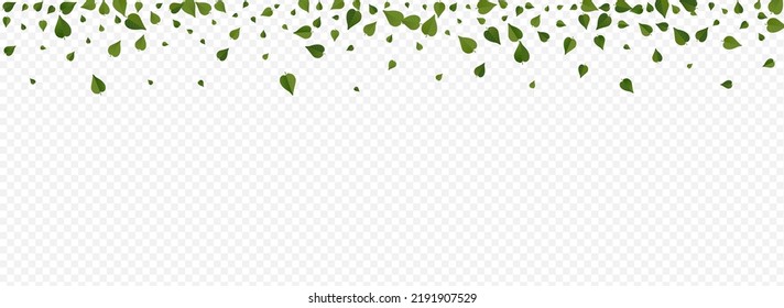 Swamp Leaves Tea Vector Panoramic Transparent Background Design. Fresh Foliage Brochure. Mint Leaf Forest Concept. Greens Spring Banner.
