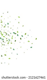 Swamp Leaves Tea Vector White Background. Fresh Foliage Illustration. Forest Greens Swirl Branch. Leaf Motion Banner.