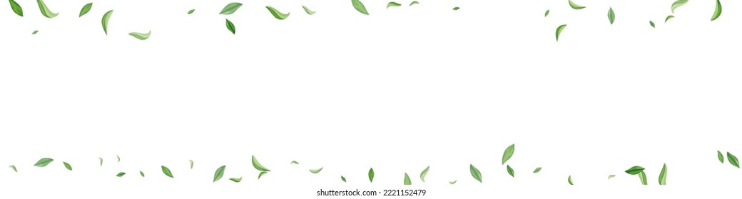 Swamp Leaves Tea Vector White Panoramic Background Pattern. Wind Greens Banner. Mint Foliage Forest Backdrop. Leaf Falling Illustration.