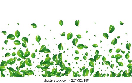 Swamp Leaves Tea Vector White Background. Fresh Leaf Template. Grassy Greens Falling Brochure. Foliage Tree Banner.