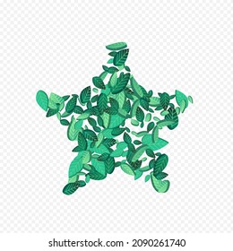 Swamp Leaves Transparent Vector Transparent Background Design. Spring Greens Plant. Grassy Leaf Fresh Branch. Foliage Organic Poster.
