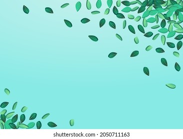 Swamp Leaves Tree Vector Blue Background Design. Falling Greens Pattern. Olive Foliage Abstract Concept. Leaf Wind Brochure.