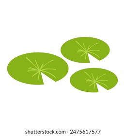 Swamp leaves. Vector illustration on white background