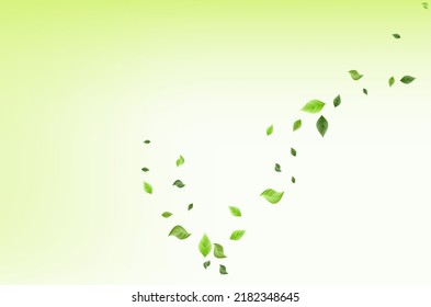 Swamp Leaves Wind Vector Green Background Backdrop. Tree Greenery Concept. Lime Leaf Blur Poster. Foliage Realistic Brochure.