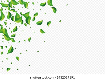 Swamp Leaves Wind Vector Transparent Background. Abstract Greens Concept. Forest Leaf Motion Illustration. Foliage Forest Plant.