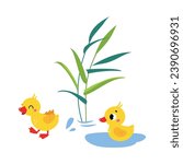 Swamp with Little Baby Duckling as Waterfowl Vector Illustration