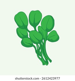 Swamp nails Plant Flat Design Cartoon Illustration