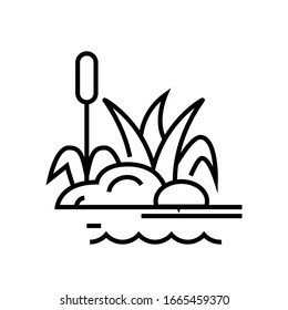 Swamp plants line icon, concept sign, outline vector illustration, linear symbol.